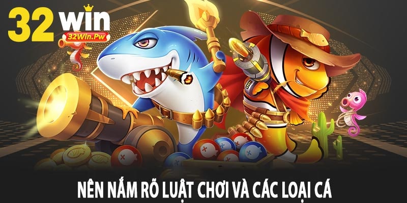 Nên Nắm Rõ Luật Chơi và Các Loại Cá